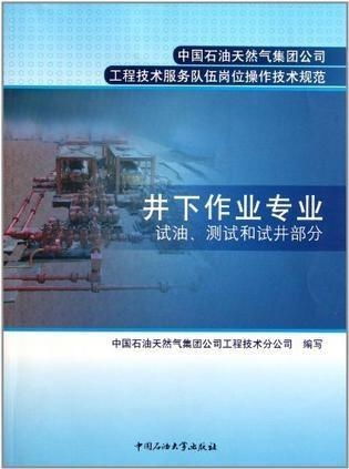中國石油天然氣集團公司工程技術服務隊伍崗位操作技術規劃 構建卓越服務體系，保障能源安全