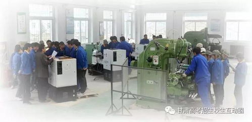 甘肅林業職業技術學院機電工程學院 以技術服務為引擎，賦能區域產業發展