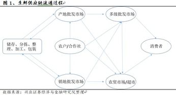 2019年農(nóng)產(chǎn)品供應(yīng)鏈行業(yè)深度研究報告 凌云集團(tuán)供應(yīng)鏈模式解析